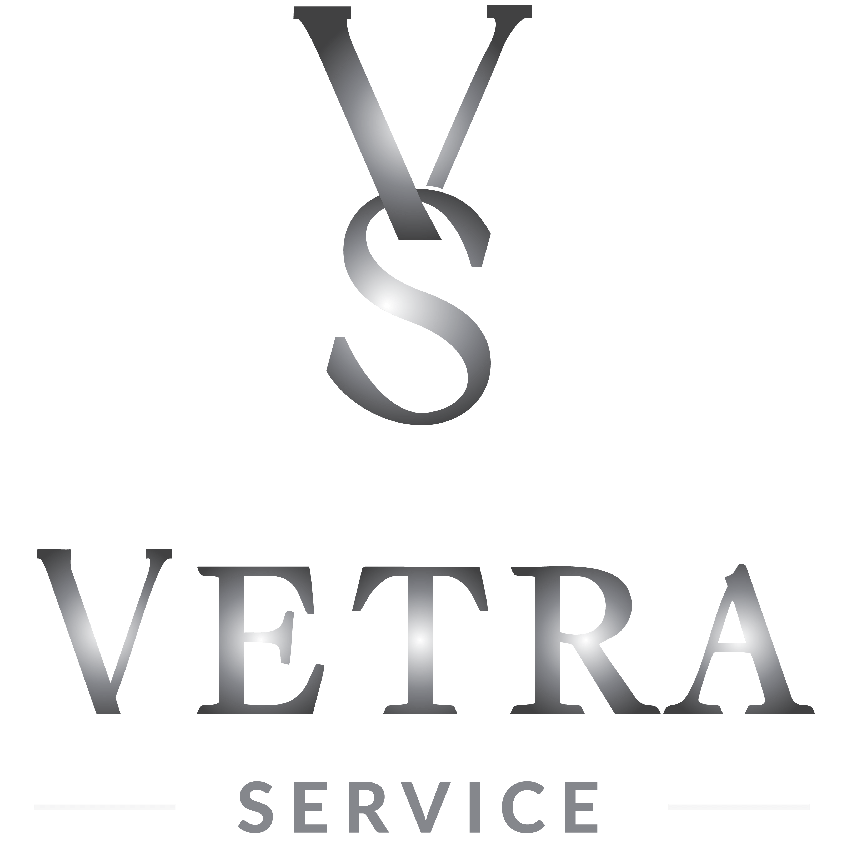 Vetra footer logo